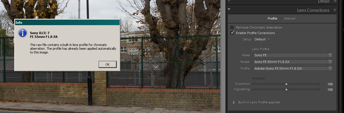 Sony A7 Lens correction.PNG